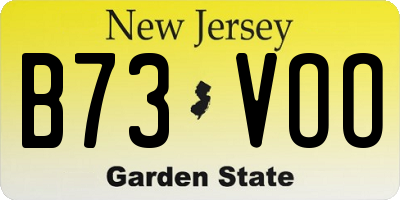 NJ license plate B73VOO