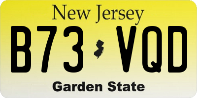 NJ license plate B73VQD