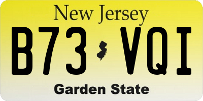 NJ license plate B73VQI