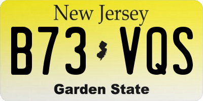NJ license plate B73VQS