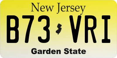 NJ license plate B73VRI