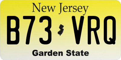 NJ license plate B73VRQ