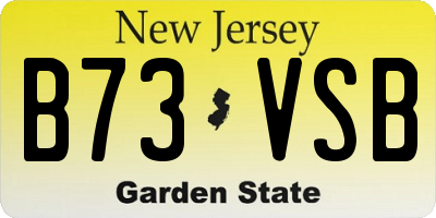 NJ license plate B73VSB
