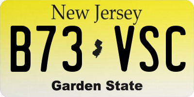 NJ license plate B73VSC