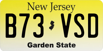 NJ license plate B73VSD