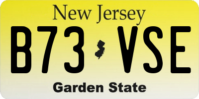 NJ license plate B73VSE