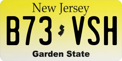 NJ license plate B73VSH