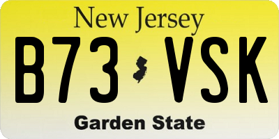 NJ license plate B73VSK