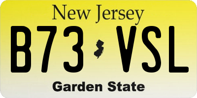 NJ license plate B73VSL