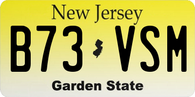 NJ license plate B73VSM