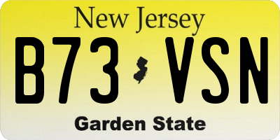 NJ license plate B73VSN