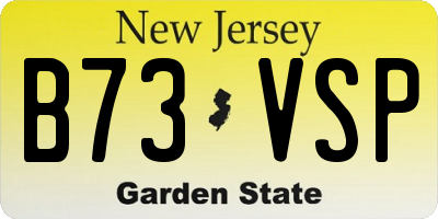 NJ license plate B73VSP