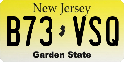 NJ license plate B73VSQ