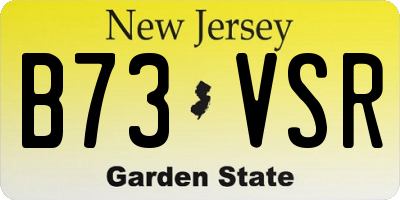 NJ license plate B73VSR