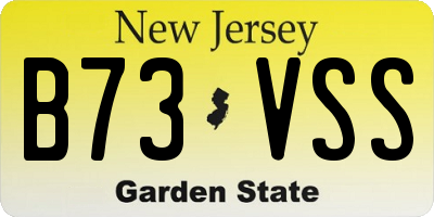 NJ license plate B73VSS
