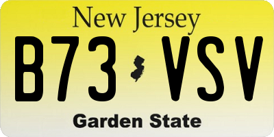 NJ license plate B73VSV
