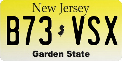 NJ license plate B73VSX
