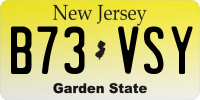NJ license plate B73VSY