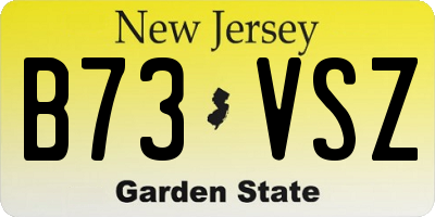 NJ license plate B73VSZ