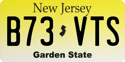 NJ license plate B73VTS