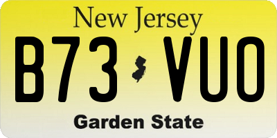 NJ license plate B73VUO