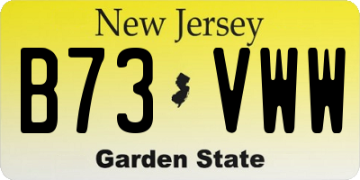 NJ license plate B73VWW