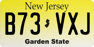 NJ license plate B73VXJ