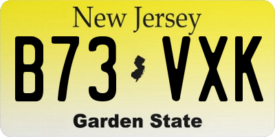 NJ license plate B73VXK