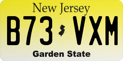 NJ license plate B73VXM