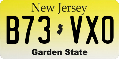 NJ license plate B73VXO