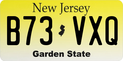 NJ license plate B73VXQ