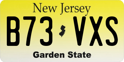 NJ license plate B73VXS