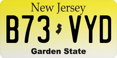 NJ license plate B73VYD