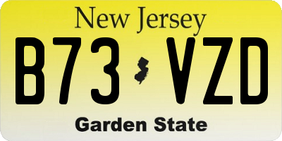 NJ license plate B73VZD