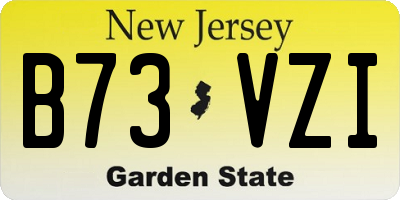 NJ license plate B73VZI