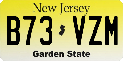NJ license plate B73VZM