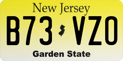 NJ license plate B73VZO