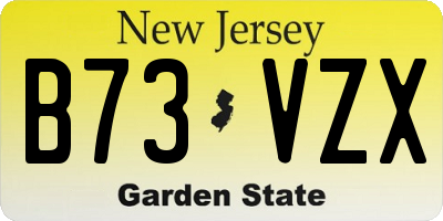 NJ license plate B73VZX