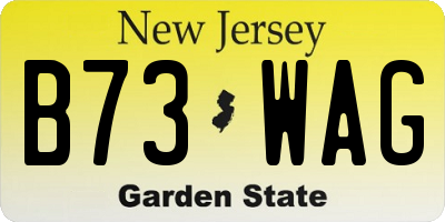 NJ license plate B73WAG
