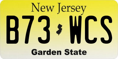 NJ license plate B73WCS