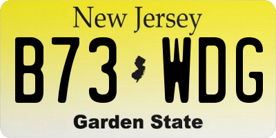 NJ license plate B73WDG