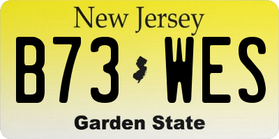NJ license plate B73WES