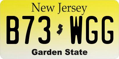 NJ license plate B73WGG