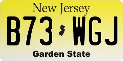 NJ license plate B73WGJ