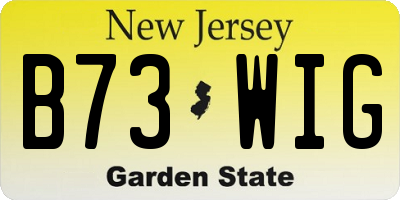 NJ license plate B73WIG