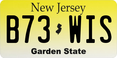 NJ license plate B73WIS