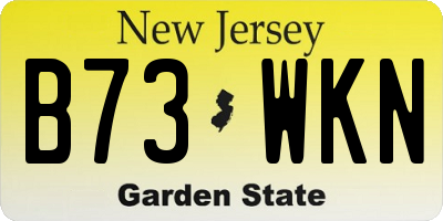 NJ license plate B73WKN