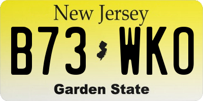 NJ license plate B73WKO