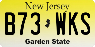 NJ license plate B73WKS