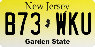 NJ license plate B73WKU
